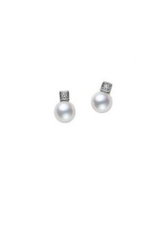 Pierced Earrings - PE-1287PU